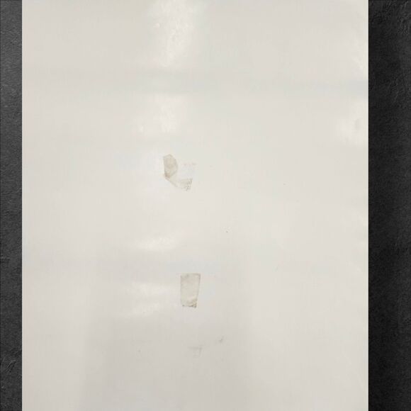 Caddyshack Tiger vs Gopher AmEx Promo Poster 2004 27x38 Golf Movie Art - Picture 10 of 14